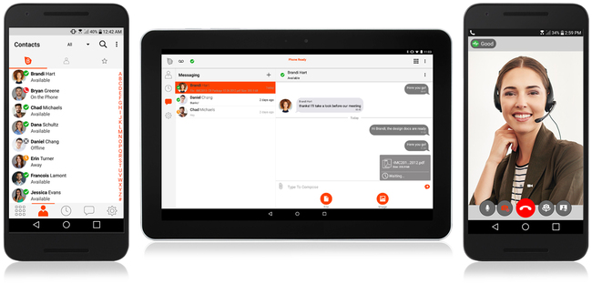 CounterPath Bria Enterprise Basic User Licence (12 Month Subscription Licence)